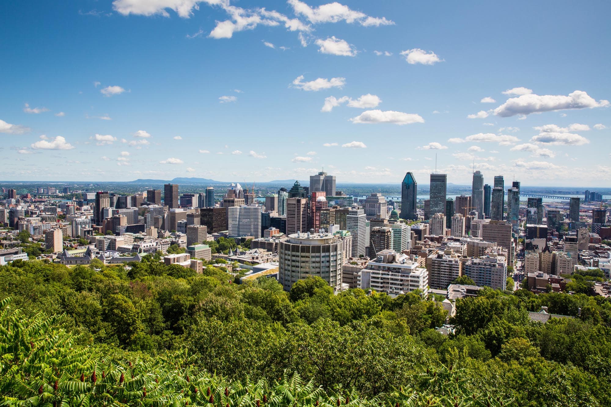 Montreal Banner