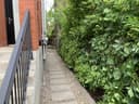 Walkway Clean Up