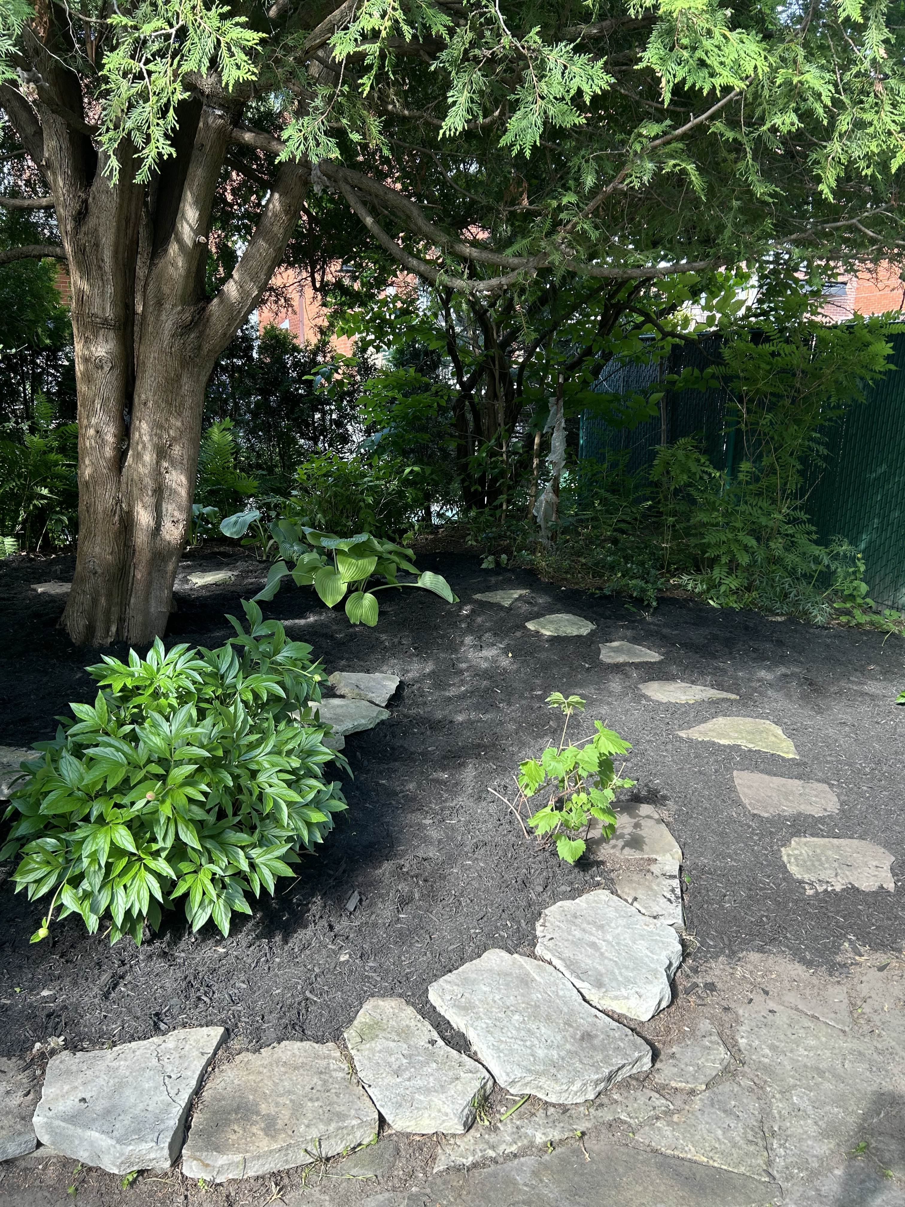 After image of 2