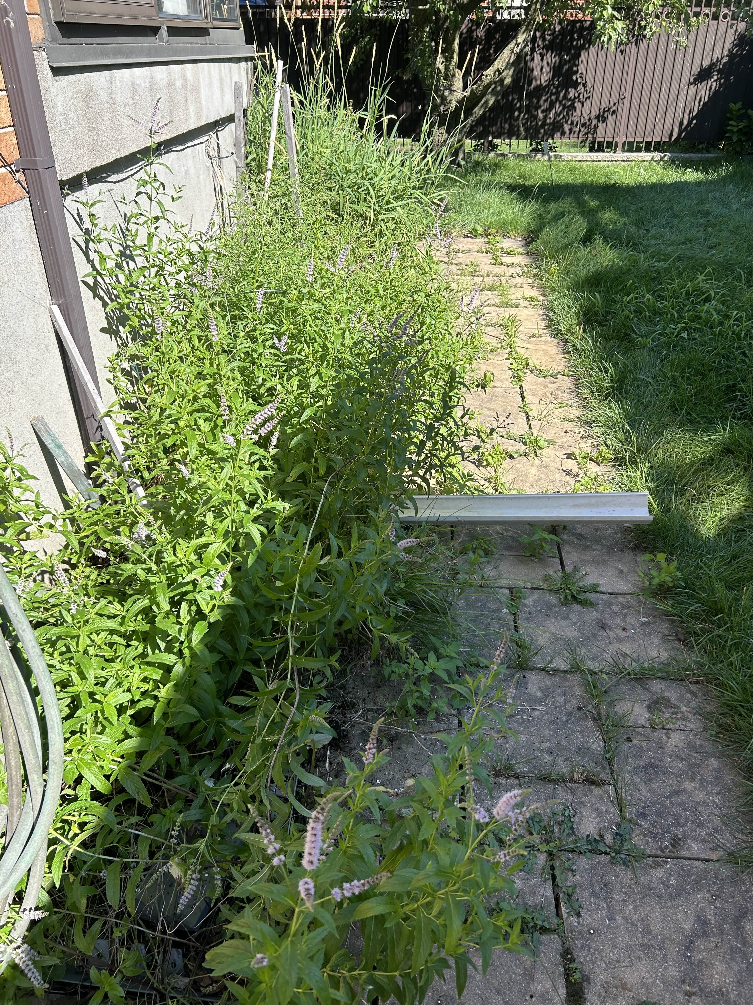 Before image of 1