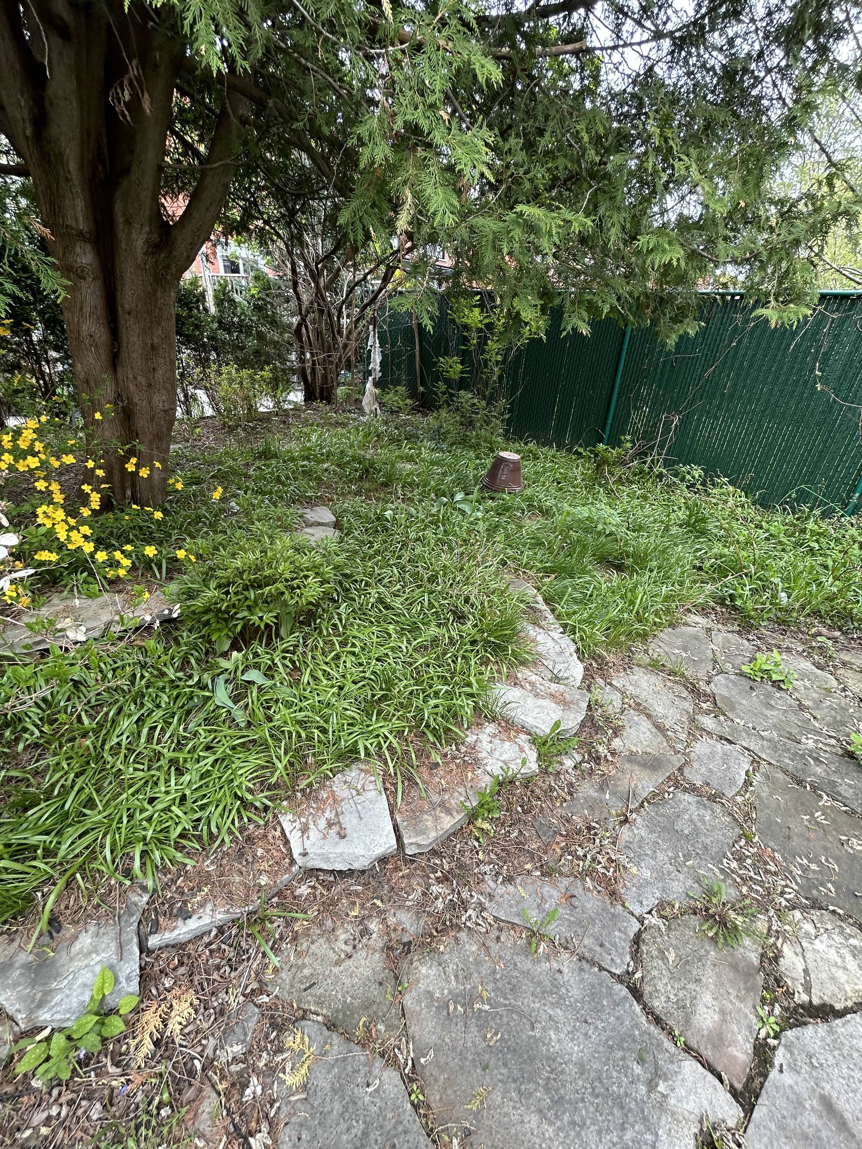 Before image of 2